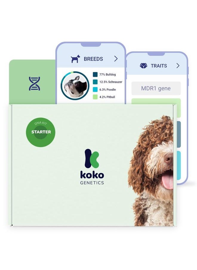 tellmeGen - Starter DNA Test for Dogs, Analyzes & Identifies 400+ Breeds and Offers 25+ Genetic Traits and Ancestry Reports, Lifetime Updates Included - Image 1