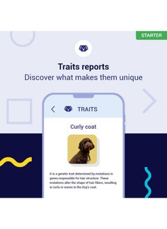 tellmeGen Starter DNA Test for Dogs, Analyzes & Identifies 400+ Breeds and Offers 25+ Genetic Traits and Ancestry Reports, Lifetime Updates Included  - Image 4