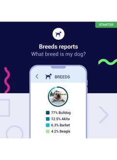 tellmeGen Starter DNA Test for Dogs, Analyzes & Identifies 400+ Breeds and Offers 25+ Genetic Traits and Ancestry Reports, Lifetime Updates Included  - Image 5