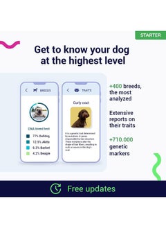 tellmeGen Starter DNA Test for Dogs, Analyzes & Identifies 400+ Breeds and Offers 25+ Genetic Traits and Ancestry Reports, Lifetime Updates Included  - Image 2