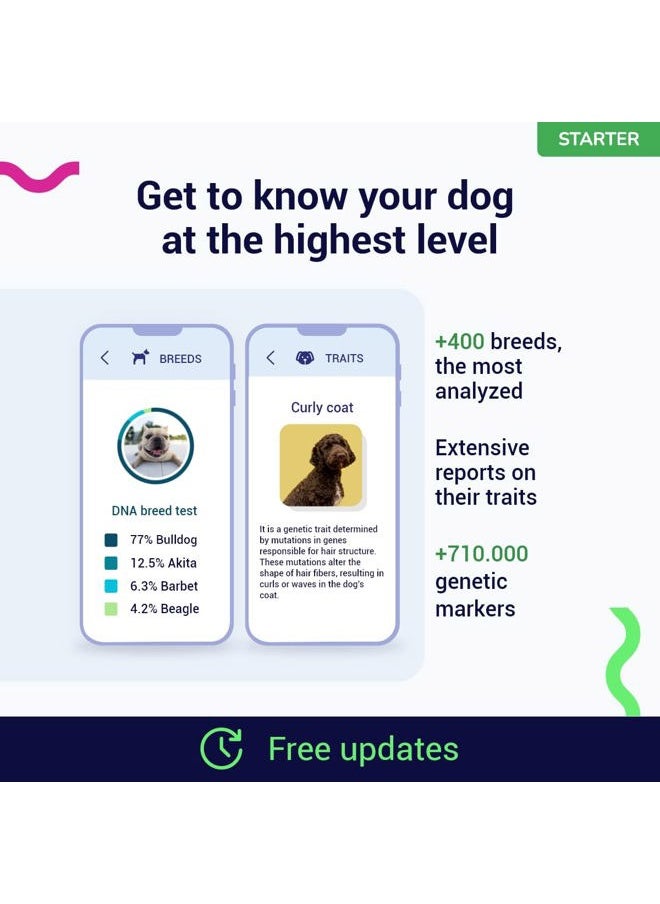 tellmeGen - Starter DNA Test for Dogs, Analyzes & Identifies 400+ Breeds and Offers 25+ Genetic Traits and Ancestry Reports, Lifetime Updates Included - Image 1