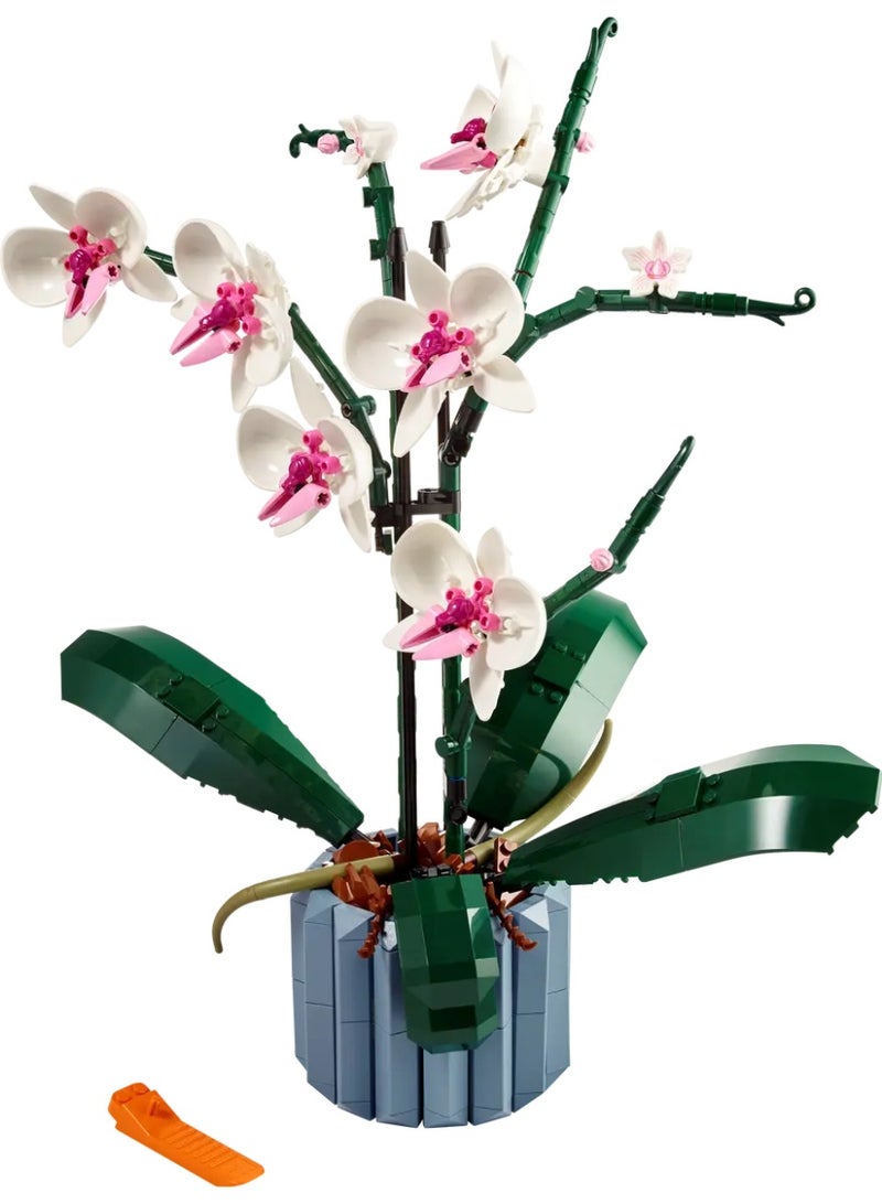 LEGO Orchid  (10311) - Image 2