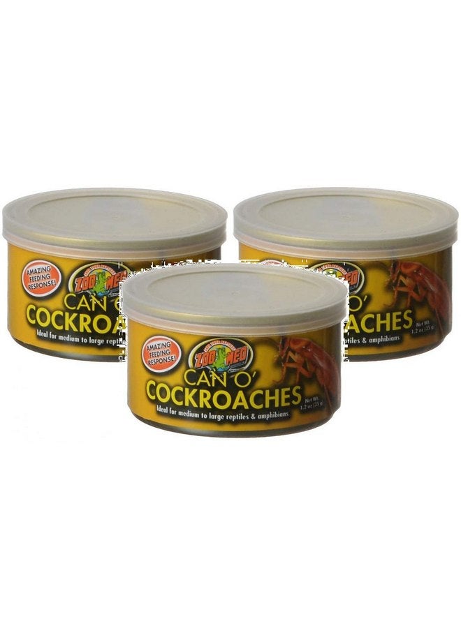 زوو ميد Zoo Med - عبوة من 3 عبوات Can O' Cockroaches، 1.2 أونصة لكل عبوة