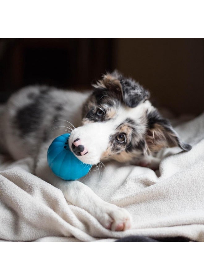 Pet Qwerks - Pet Qwerks Talking Babble Ball - Interactive Chew Dog Toy - Large - Image 1