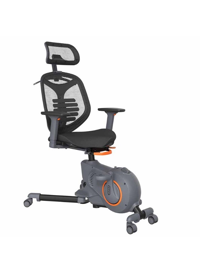 Flexispot Loctek F216Dbu Adjustable Fitness Office Chair - Black - Image 1