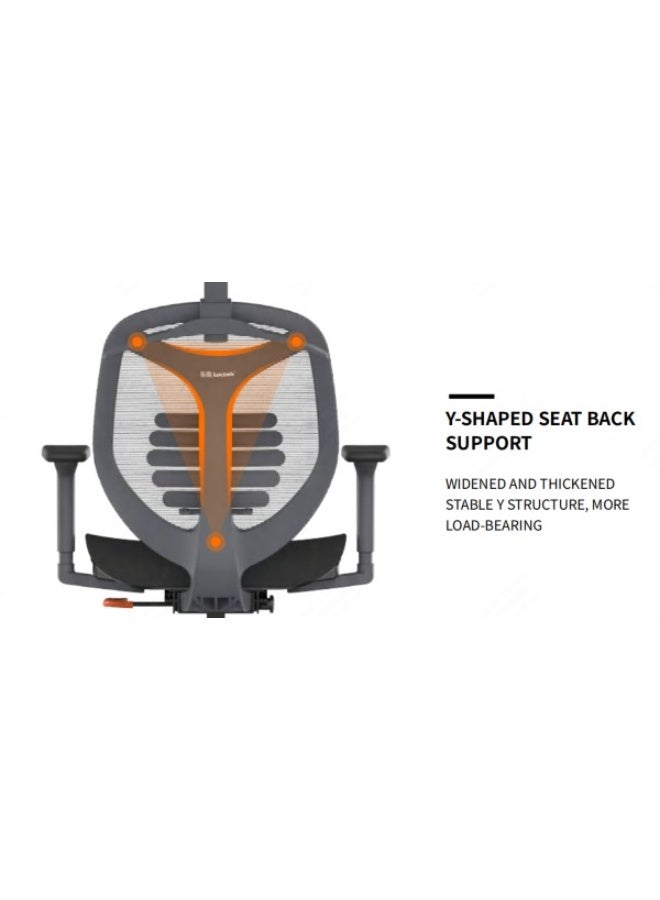 Flexispot Loctek F216Dbu Adjustable Fitness Office Chair - Black - Image 2