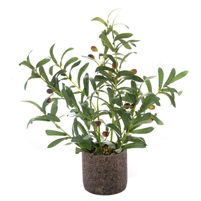 AlphaAcc 18 Inch Artificial Olive Branches Real Looking Potted Plant Fake Olive Tree with Lifelike Leaves and Fruits in Rustic Black Cement Planter Faux Greenery Plant for Indoor Outdoor Decor - Image 1