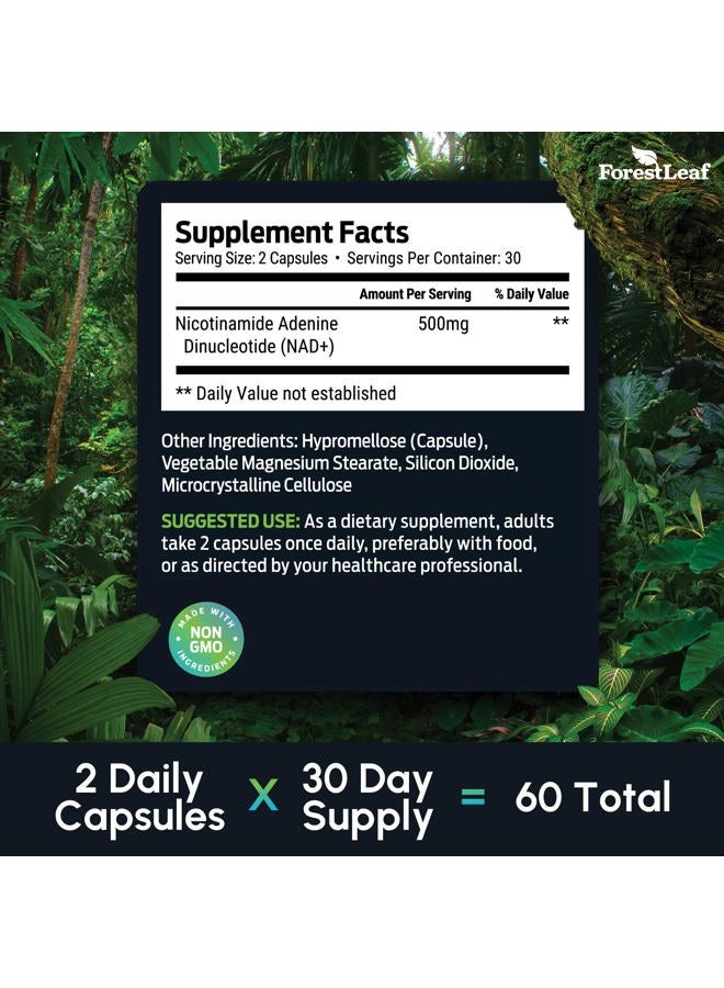 ForestLeaf NAD+ Supplement - 500mg of Pure NAD Plus for Energy, Focus, Skin & Anti-Aging Support - Gluten Free Non-GMO NAD Supplements for Women & Men (60 Count (Pack of 1)) - Image 4