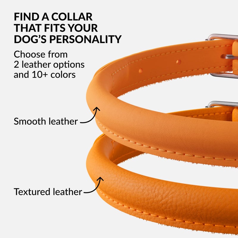 CollarDirect Rolled Leather Dog Collar, Soft Padded Round Puppy Collar, Handmade Genuine Leather Collar Dog Small Large Cat Collars 13 Colors (13-16 Inch, Orange Smooth) - Image 5