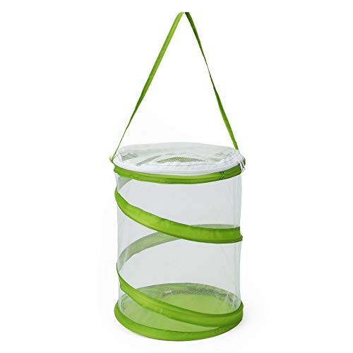 RESTCLOUD Popup Insect and Butterfly Habitat Cage Terrarium Clear Mesh Enclosure See Through Easier 9 x 11 Tall - Image 1