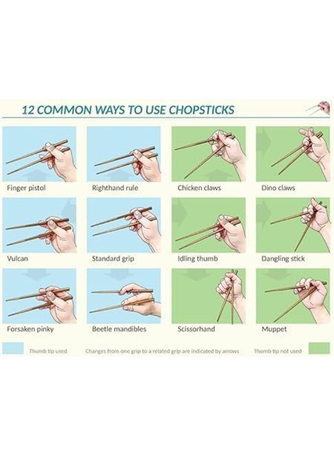 Reusable Sushi Sticks with Storage Bucket – 10-Piece Set for Easy and Elegant Dining Experience - Image 4