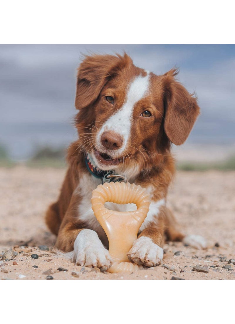 Benebone Dental Dog Chew Toy Chicken - Image 3