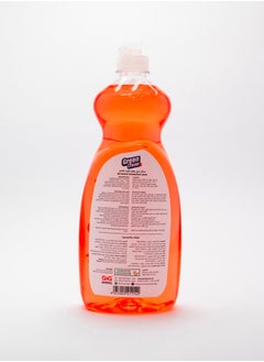 Green Clean Dishwashing Liquid 750ml  - Image 4