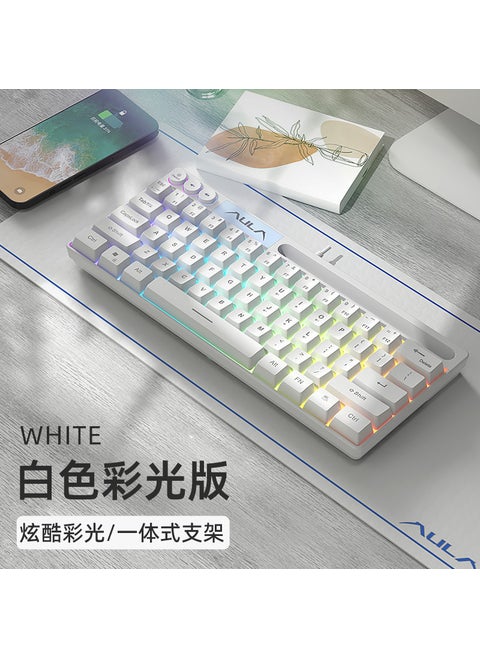 AULA F3061 Mini Mechanical Keyboard, 61-Key, RGB, Wired White