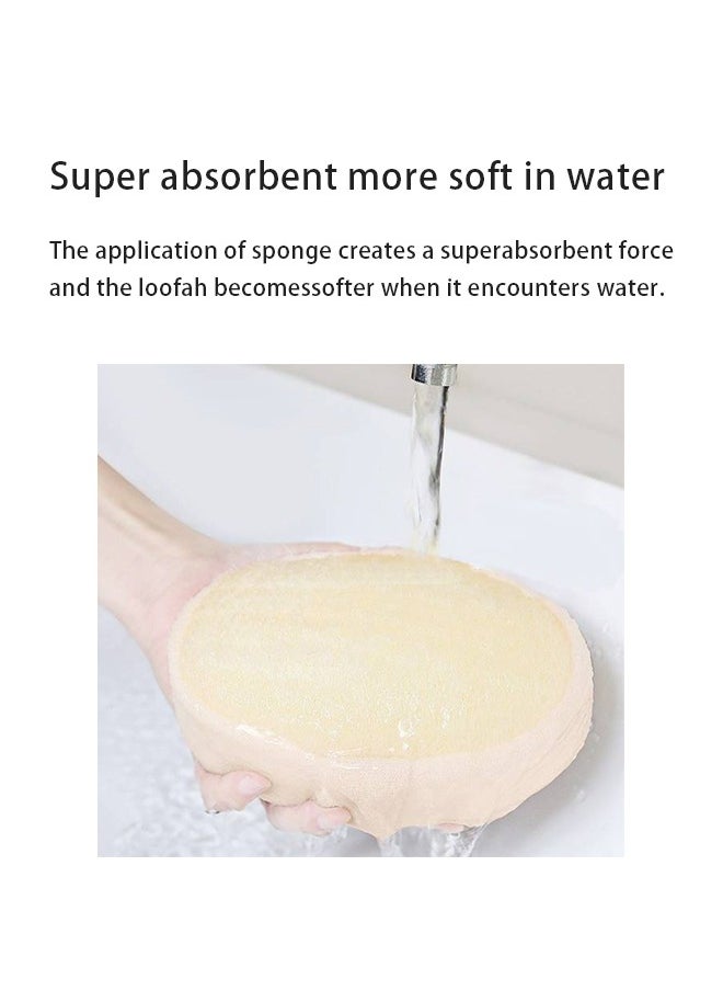 Generic - Natural Egyptian Loofah Palm Size Oval - Image 1