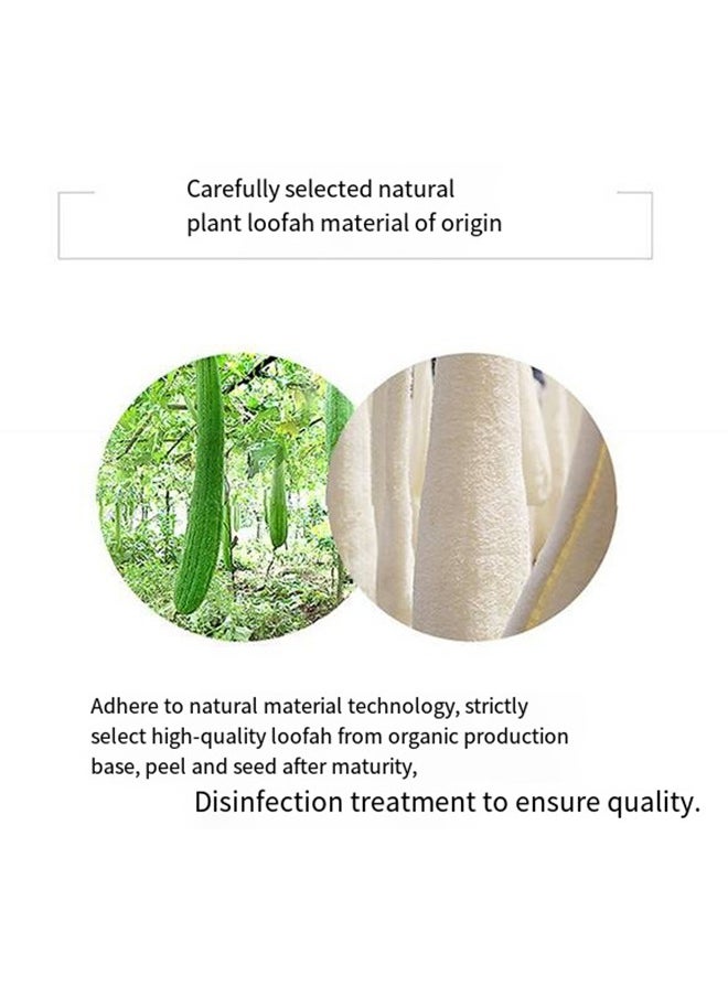 Generic - Natural Egyptian Loofah Palm Size Oval - Image 1