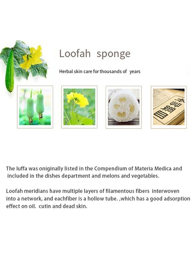 Generic - Natural Egyptian Loofah Palm Size Oval - Image 1