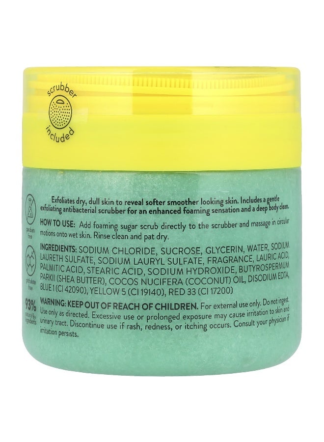 Onyx Professional Onyx Professional, Coconut Bliss, Foaming Sugar Scrub, Coconut & Vanilla, 16 oz (453 g)  - Image 2
