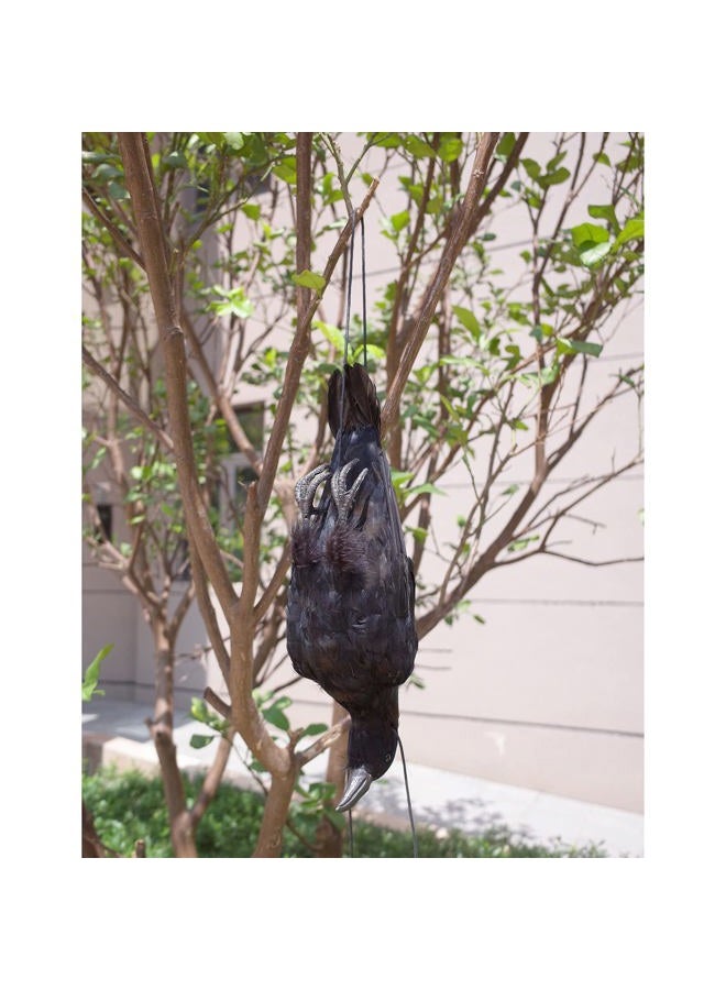 Etistta 17 inch Realistic Hanging Dead Crows Decoy Lifesize Extra Large Black Feathered Scare Deterrent Crow - Image 5