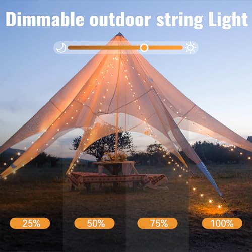WERTIOO Globe String Lights Battery Operated – 33ft 100 LED Globe Lights with Remote, 8 Modes & Timer – Warm White String Lights for Bedroom, Christmas Tree, Garden, Tent, Camping, Indoor & Outdoor - Image 3