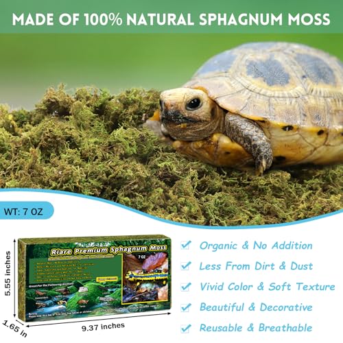 Riare 7 OZ Premium Sphagnum Moss for Reptiles- 10QT Natural Live Moss Reptile Moss Bedding for Terrarium, Hatching, Forest Sphagnum Moss Reptile Substrate for Snakes, Gecko, Turtles, Frogs, Leopard - Image 2