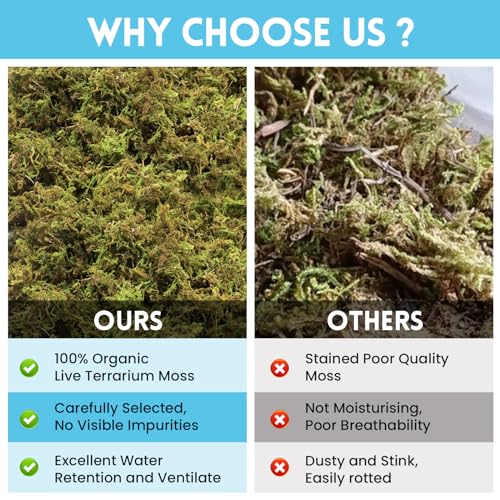 Riare 7 OZ Premium Sphagnum Moss for Reptiles- 10QT Natural Live Moss Reptile Moss Bedding for Terrarium, Hatching, Forest Sphagnum Moss Reptile Substrate for Snakes, Gecko, Turtles, Frogs, Leopard - Image 5
