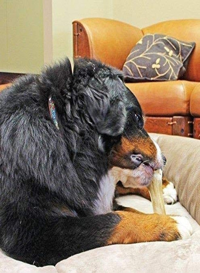 Petlicious & More Rawhide 2 Inch Bones for Dogs Super Saver Pack Pressed Dog Bones Calcium Bone Chew Bones for Dogs (Pack of 3 Kg) - Image 2
