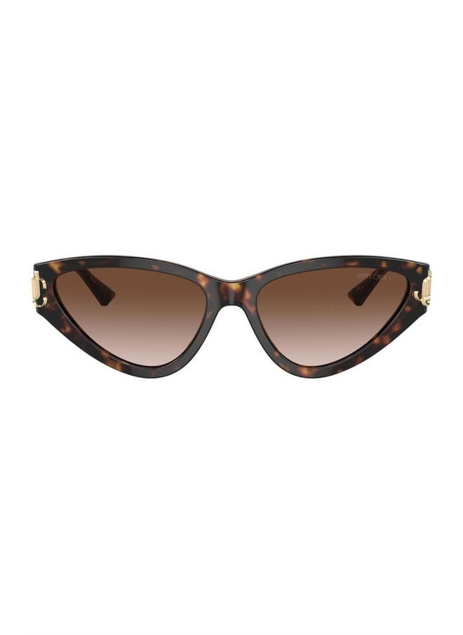Jimmy Choo Woman CAT EYE  SUNGLASSES- JC 5019 - lense size:55mm - HAVANA  - Image 2