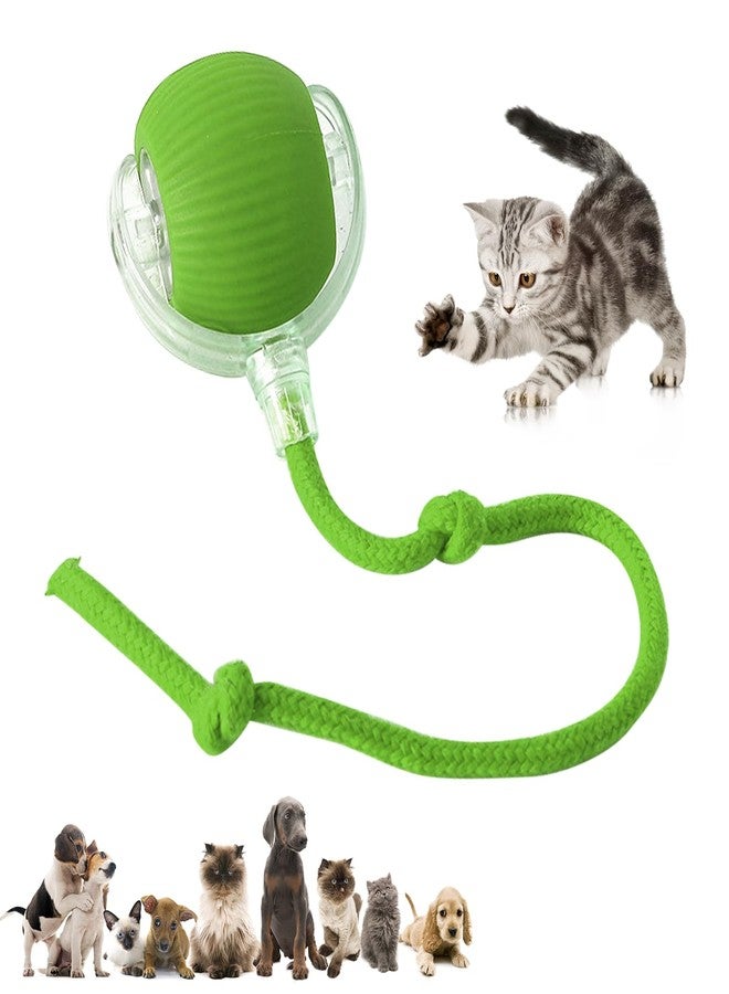 DVHNMK Chewie Viral 360 Smart Automatic Rolling Pet Ball - Interactive Dog & Cat Toy (Green) - Image 1