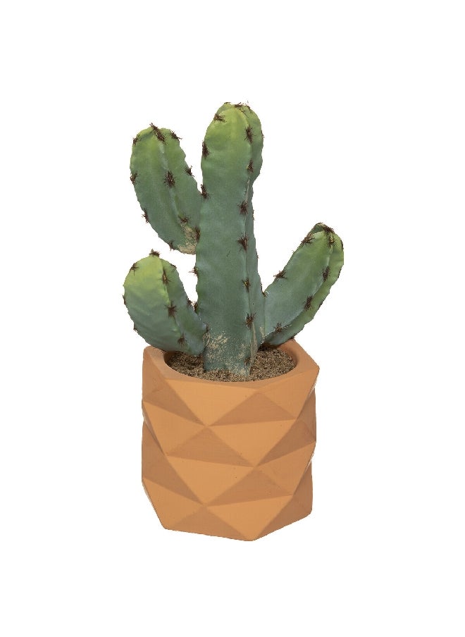 atmosphera Easy Maintenance Realistic Looking Decorative Artificial Cactus Plant with Pot Green and Brown 24 cm 185452  - Image 1