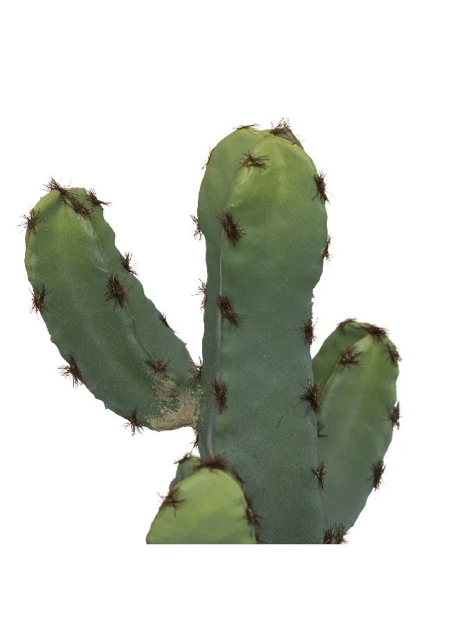 atmosphera Easy Maintenance Realistic Looking Decorative Artificial Cactus Plant with Pot Green and Brown 24 cm 185452