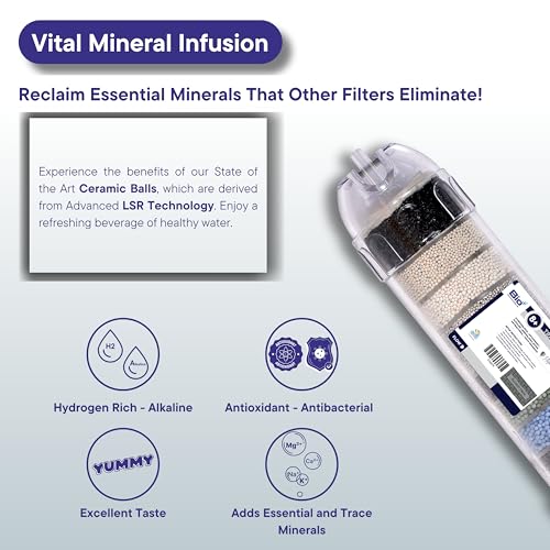 Bioplus 8" Transparent Alkaline and Mineral Water Filter Cartridge for Ro Water Purifier with antioxidant - Image 2