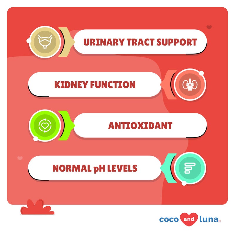 Coco and Luna Cranberry for Dogs - 120 Chewable Tablets - Urinary Tract Health, Bladder Support, Dog UTI, Bladder Stones, Incontinence Support, Cranberry Supplement - Image 2