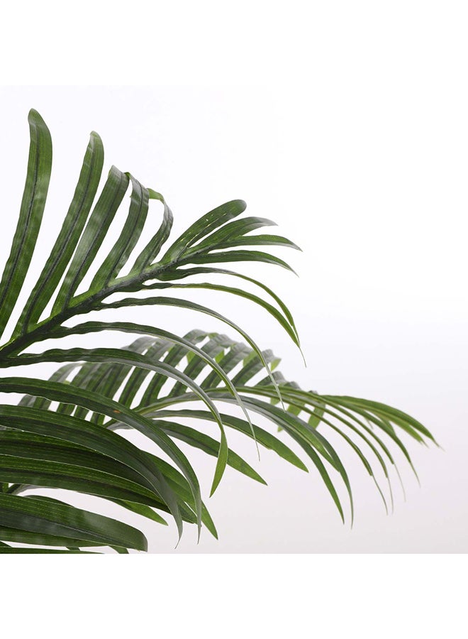 Suncoast Palm In Pot-Green  - Image 1