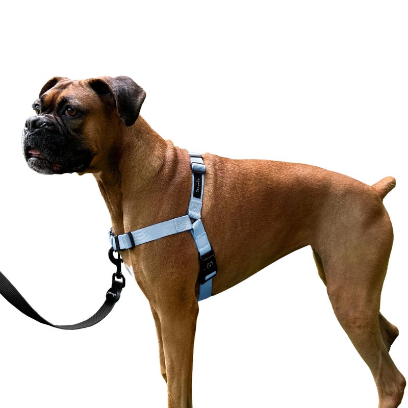 ShawnCo Dream Walk NoPull Dog Harness Adjustable Comfortable Easy to Use Pet Halter to Help Stop Pulling for Small Medium and Large Dogs Moonglow S - Image 2