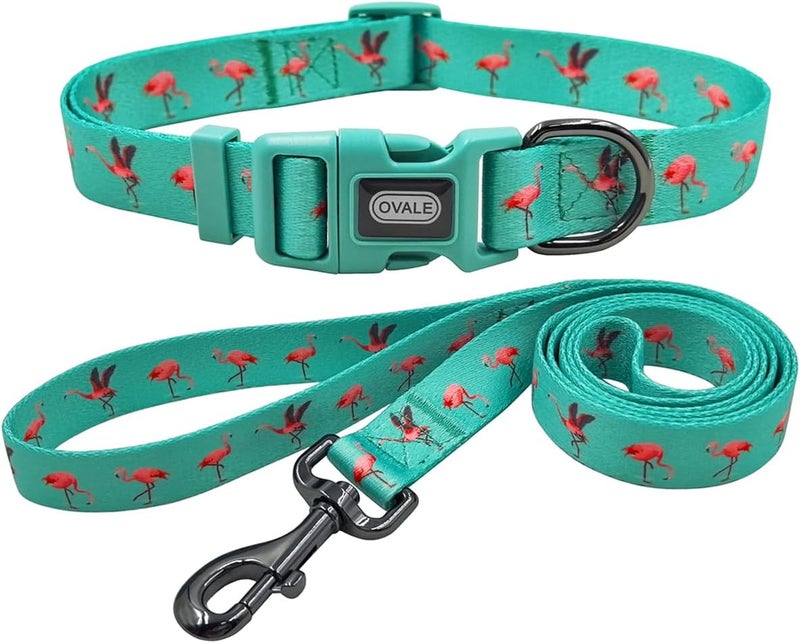 Ovale Dog Collar and Leash Set, Polyester Webbing with Flamingo Pattern, 4 (Green Flamingo, Small) - Image 1