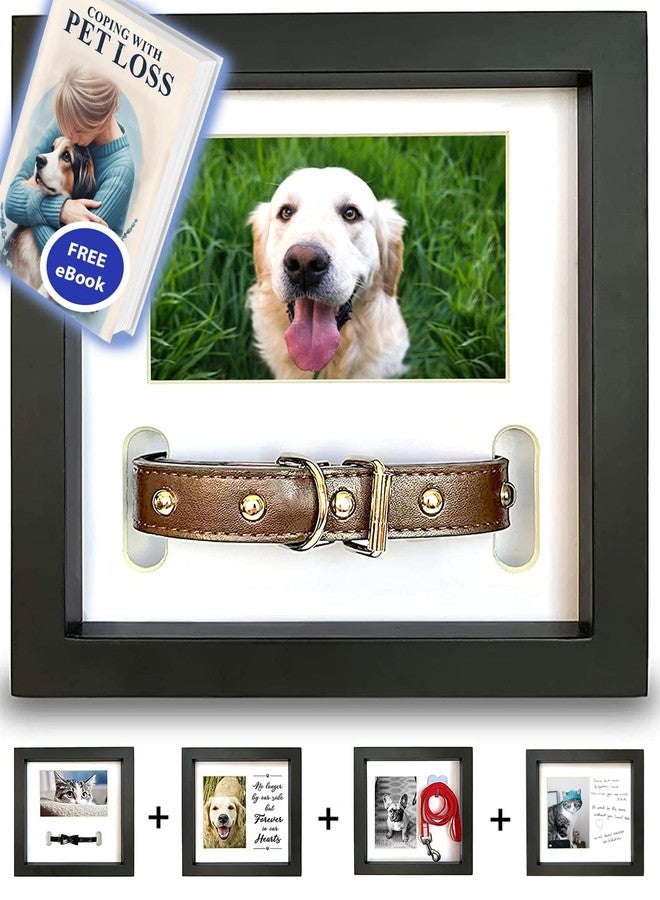 PAWCEPTIVE Dog Memorial Picture Frame with 5 Display Options- Dog Collar Memorial Frame Gift - Cat or Dog Pet Loss Gift for a Grieving Friend - Pet Remembrance Gift and Sympathy Photo Keepsake - Image 1