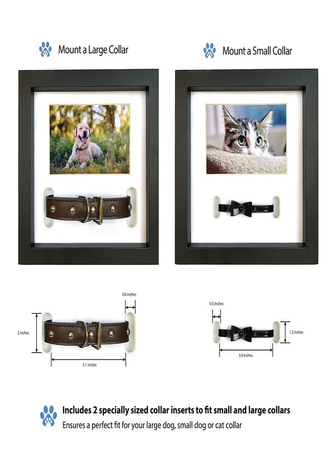 PAWCEPTIVE Dog Memorial Picture Frame with 5 Display Options- Dog Collar Memorial Frame Gift - Cat or Dog Pet Loss Gift for a Grieving Friend - Pet Remembrance Gift and Sympathy Photo Keepsake - Image 4