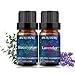 BURIBURI Eucalyptus Oil and Lavender Essential Oil Set 2 Pack 100 Pure Diffuser Oil Eucalyptus Essential Oil for Massage Soap Making - Image 1