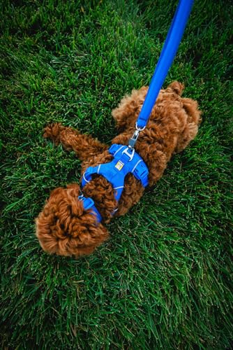 Ruffwear, Front Range Dog Collar, Adjustable Tubelok Webbing, Lightweight, Side Release Buckle, Aluminum V-Ring, Durable for Everyday Use, Red Canyon, 14"-20" - Image 4