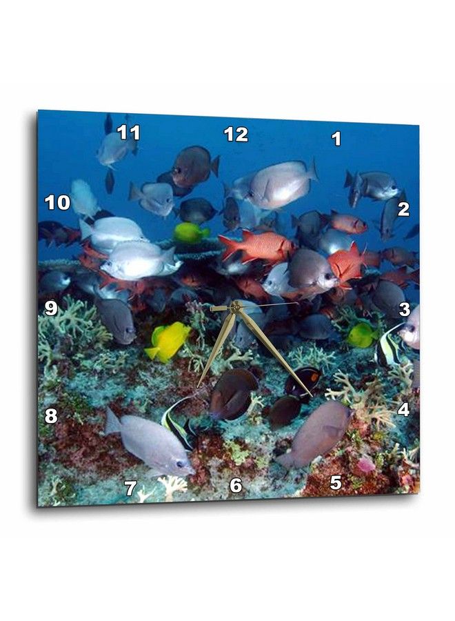 3DROSE Dpp_44933_2 Tropical Coral Reef Fish Wall Clock 13 By 13" - Image 2