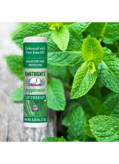 Montana Emu Ranch Lip Therapy Lip Balm 0.25 Ounce Peppermint Flavor 3 Pack Made With Pure Emu Oil  - Image 2