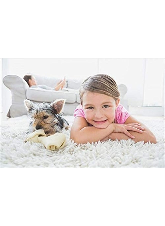 Capture - Carpet & Rug Dry Cleaner w/Resealable lid - Home, Car, Dogs & Cats Pet Carpet Cleaner Solution - Strength Odor Eliminator, Stains Spot Remover, Non Liquid & No Harsh Chemical (8 Pound) - Image 1