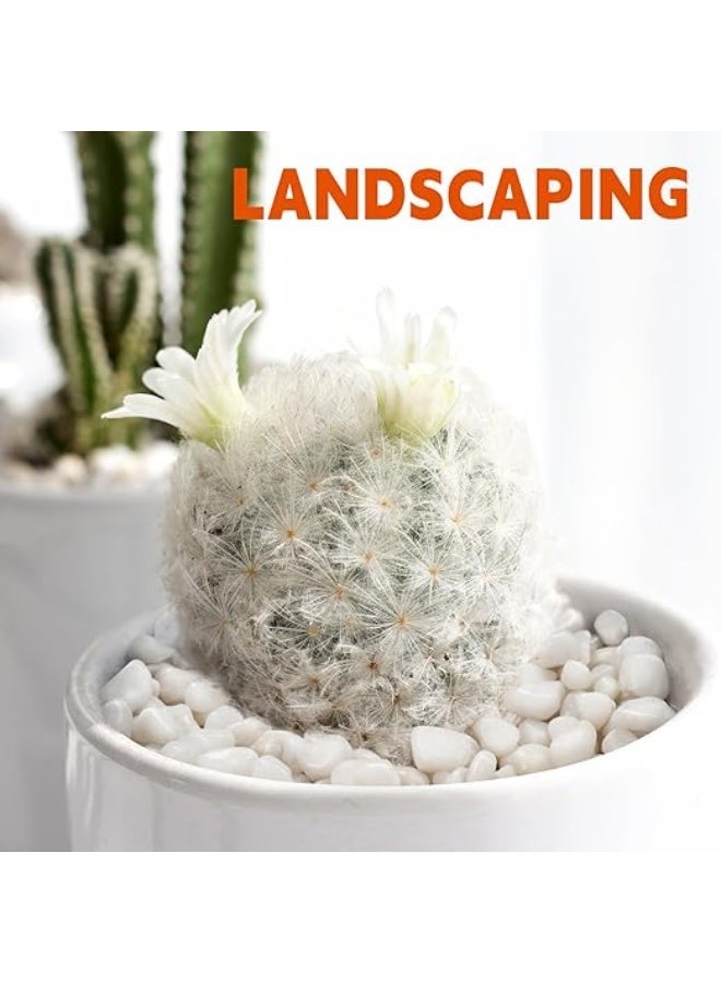 هوانكسين هوم الحصى البيضاء مناسبة للنباتات الداخلية، أحجار نهرية طبيعية بحجم 12-15 مم، أحجار تزيينية بيضاء كالثلج، مناسبة جدًا لأحواض الأسماك، المزروعات، الأعمال اليدوية، تزيين المنزل ومناظر الحدائق (500 جرام) - Image 5