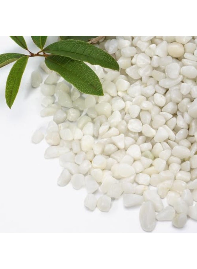 هوانكسين هوم الحصى البيضاء مناسبة للنباتات الداخلية، أحجار نهرية طبيعية بحجم 12-15 مم، أحجار تزيينية بيضاء كالثلج، مناسبة جدًا لأحواض الأسماك، المزروعات، الأعمال اليدوية، تزيين المنزل ومناظر الحدائق (500 جرام) - Image 2