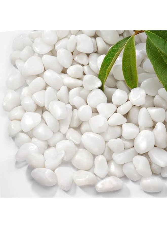 هوانكسين هوم الحصى البيضاء مناسبة للنباتات الداخلية، أحجار نهرية طبيعية بحجم 12-15 مم، أحجار تزيينية بيضاء كالثلج، مناسبة جدًا لأحواض الأسماك، المزروعات، الأعمال اليدوية، تزيين المنزل ومناظر الحدائق (500 جرام) - Image 1