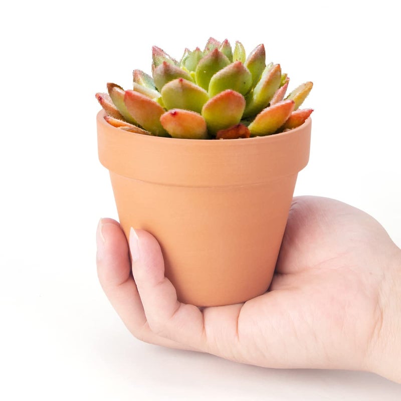 CFKJ [26 Pack] 4" Planter Nursery Pots Terracotta Pot Clay Ceramic Pottery Cactus Pots Flower Succulent Plants Pot Garden (4") - Image 3