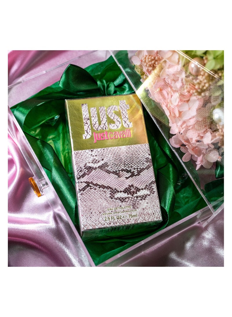   صوفيا طبيعة صندوق أكريليك مع زهور محفوظة وكافالي - Image 2