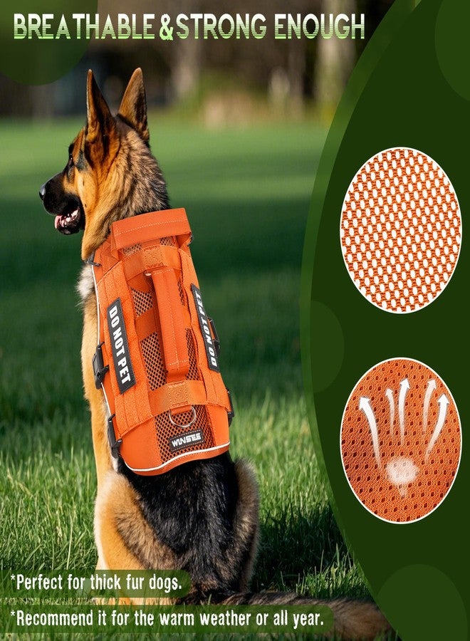 WINSEE Mesh Dog Harness with 10 Pet Patches for Medium Service Dog in Training, Breathable Tactical Molle Vest with Double Handle, Reflective Military Pet Vest for Walking Hiking - Image 2