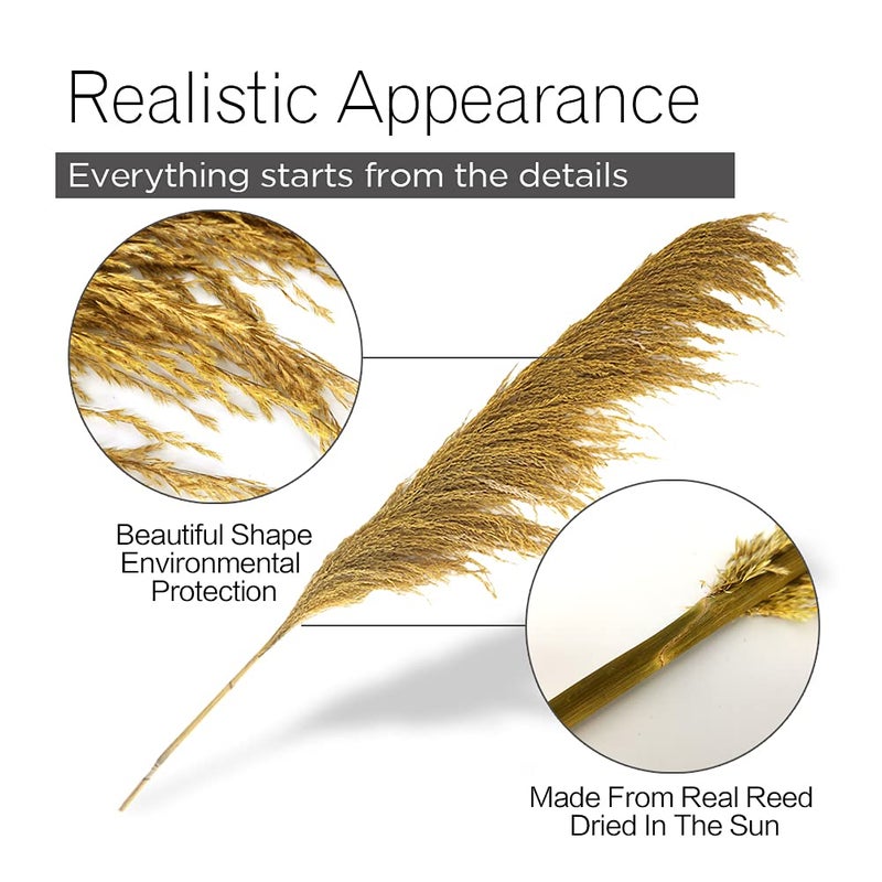 penepico Gold Pampas Grass Decor Tall,Dried Pampas Grass for Vase, Natural Pompas Floral, Elegant Feather Flowers for Wedding Living Room Farmhouse Decorations (Natural Golden, 4pcs 43.3"(110cm)) - Image 5